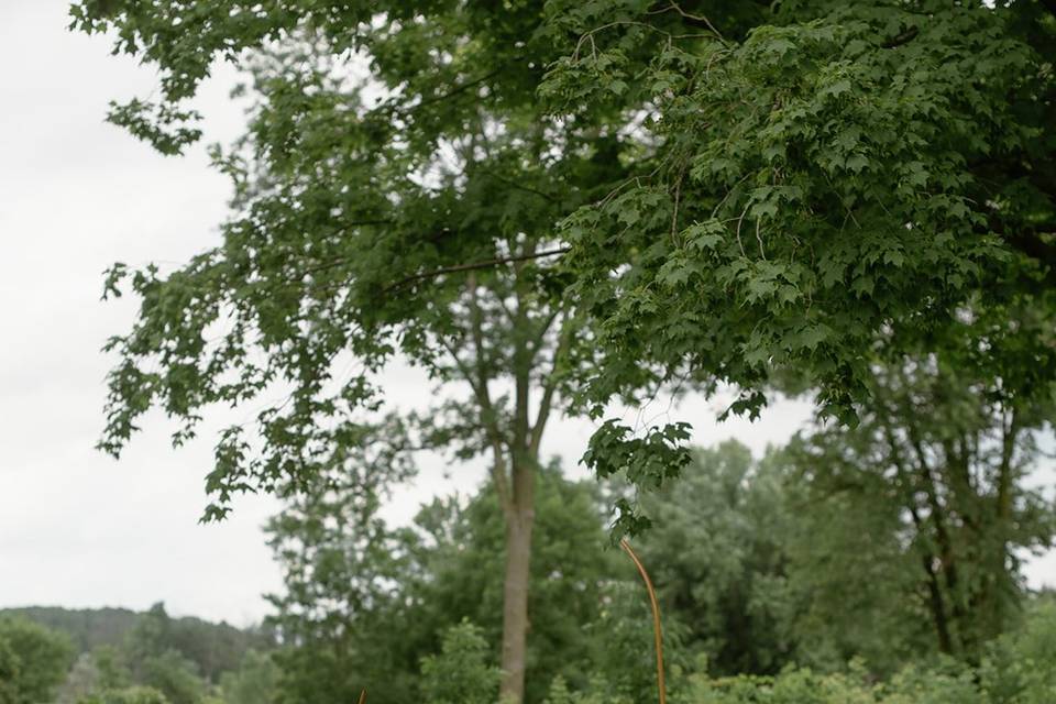 Meadow Ceremony