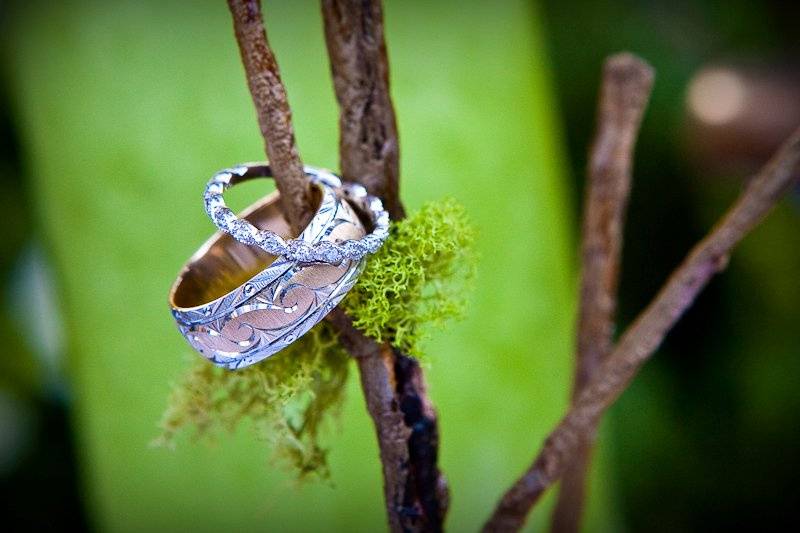 Forget Me Knott Photography