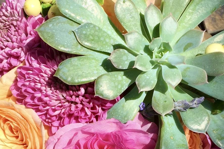 Summer bouquet with succulent