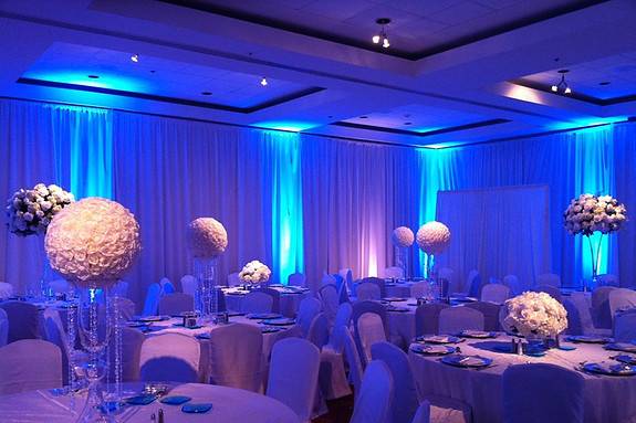 Blue Room Lighting $300.