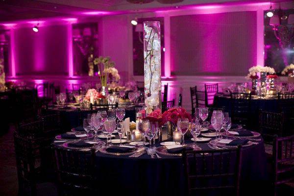 Purple Room Lighting $300.