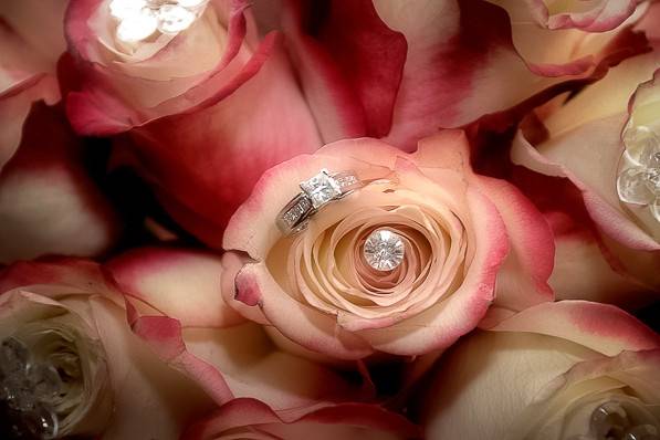 MetroMedia Photography & Video