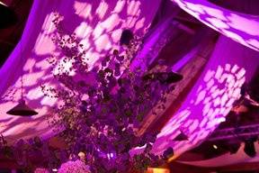 Rose petal projections and lavender lighting on fabric