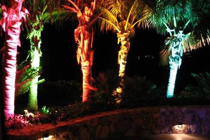 Landscape lighting at a wedding in Cabo