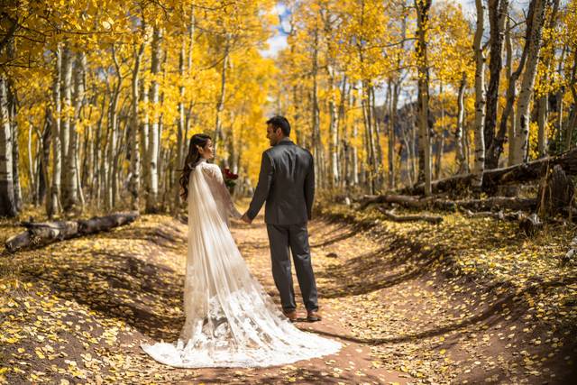 Brandon Handy weddings couples
