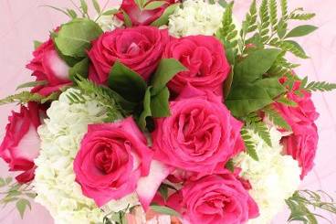 SunKissed Flowers