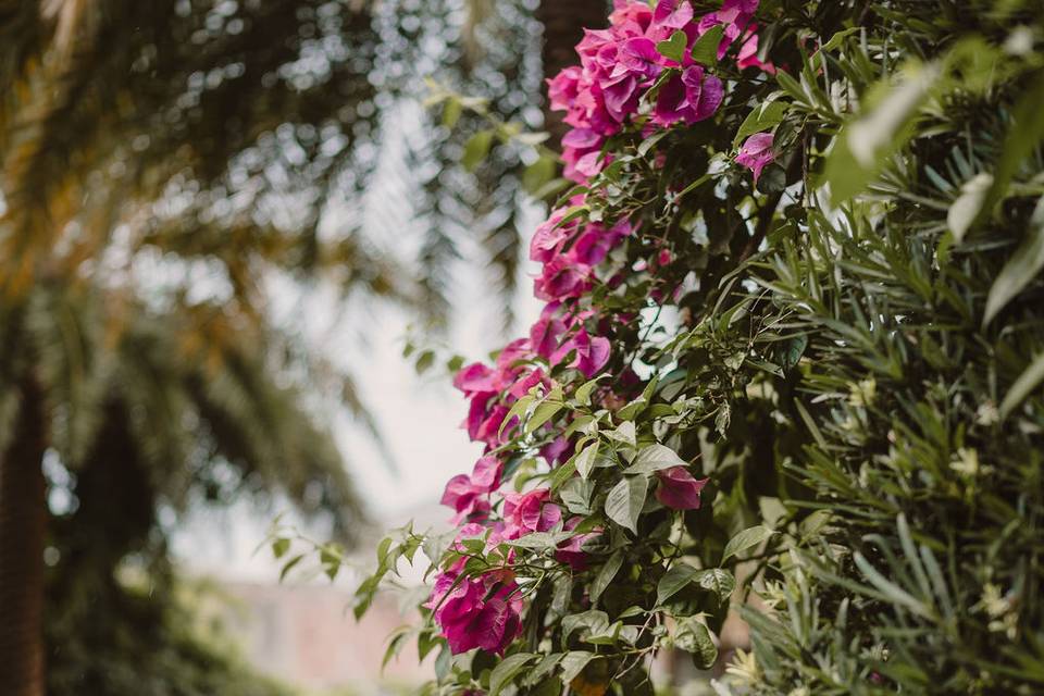 GEM, Destination Wedding