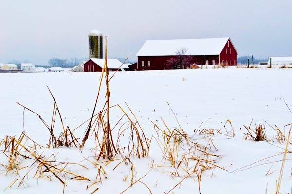 Elmwood Farm Bed & Breakfast