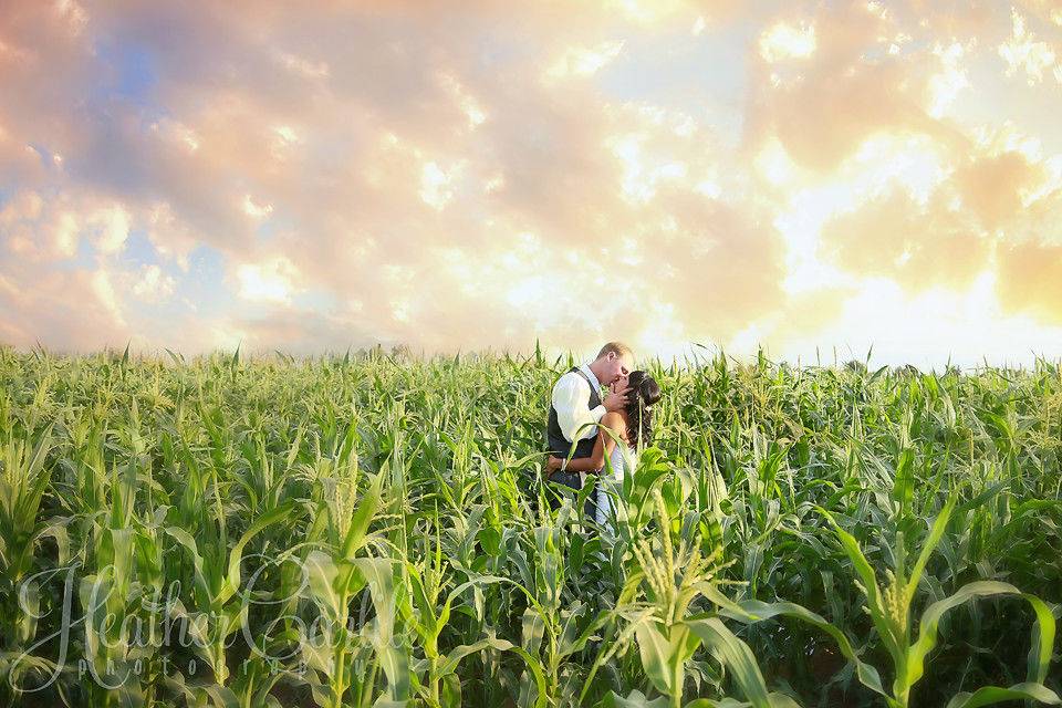 Heather Carlile Photography