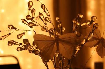 Brent Drew Photography
