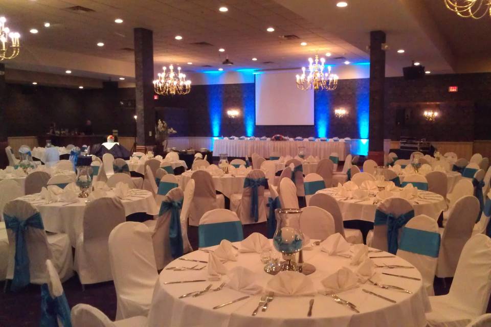 Malibu Blue Uplights!  Looked great with the Chair Sashes!