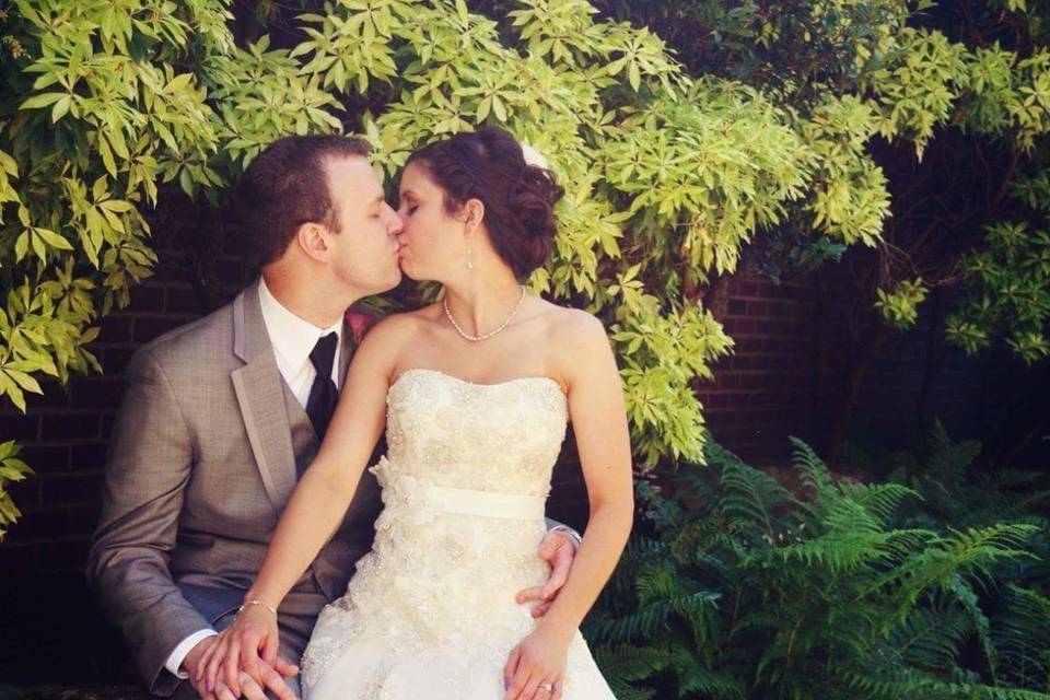 Darlene Stewart Photography