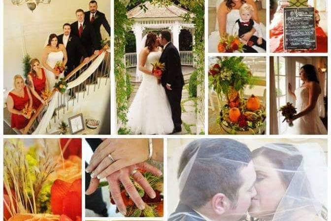 Darlene Stewart Photography