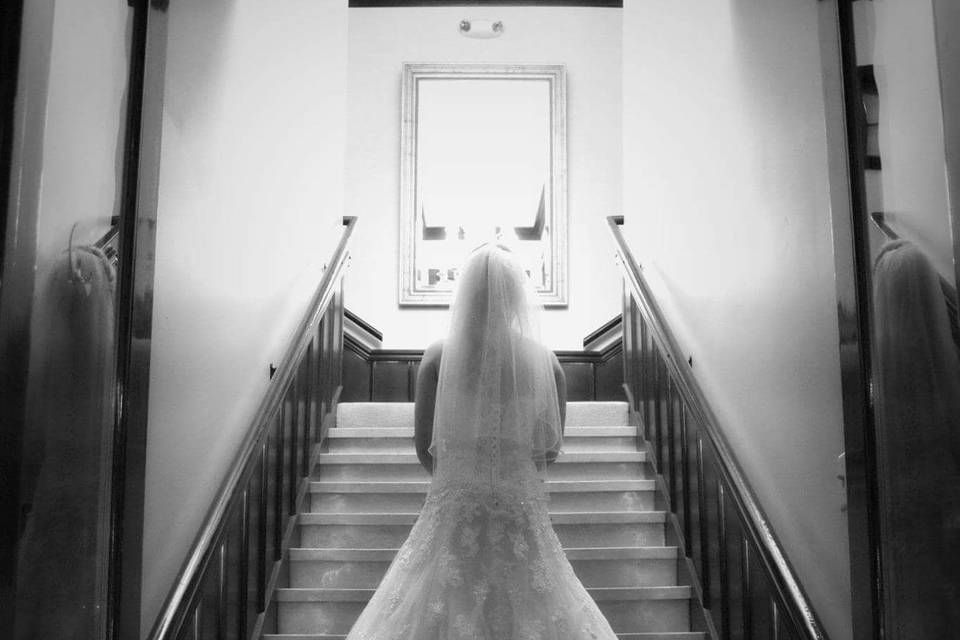 Darlene Stewart Photography