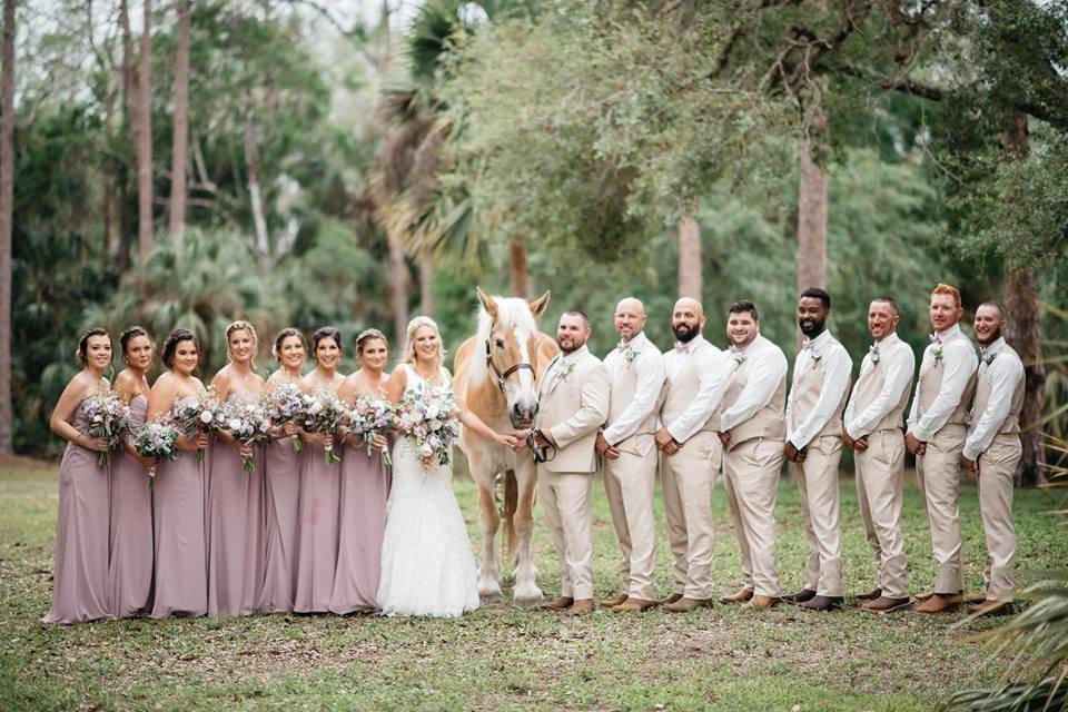 Bridal Party With Horse