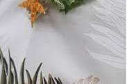 Tropical Wedding Boutonniere