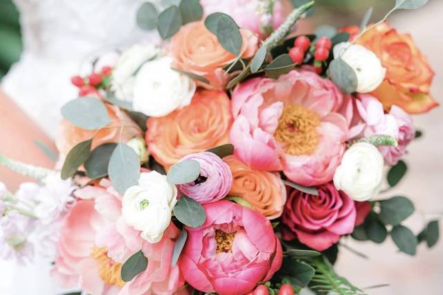 Coral peonies