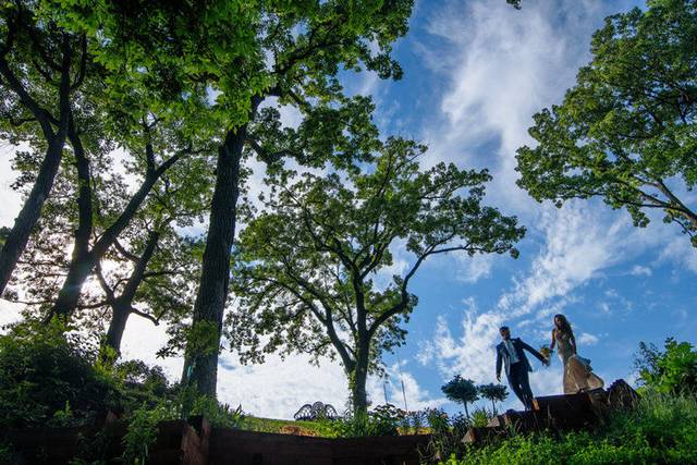 Leopold's Mississippi Gardens