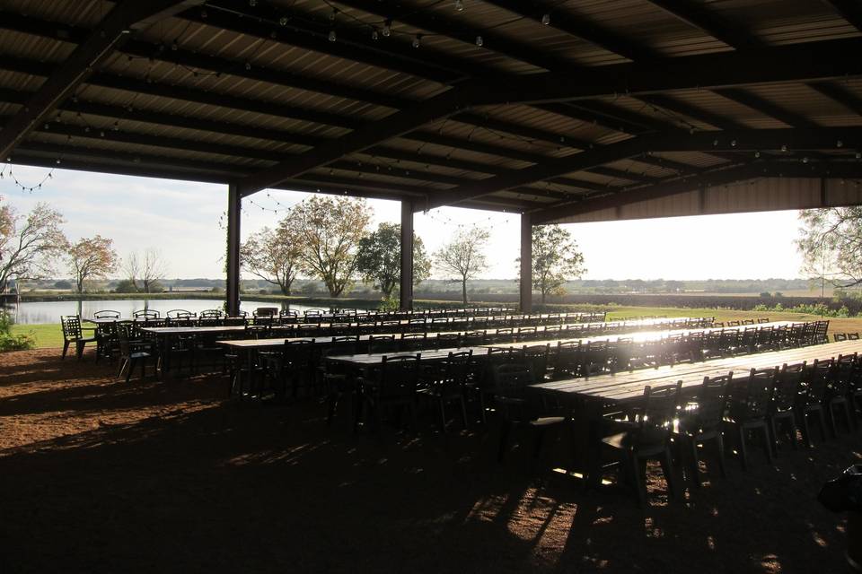 Paloma Pachanga at Weaver Farms