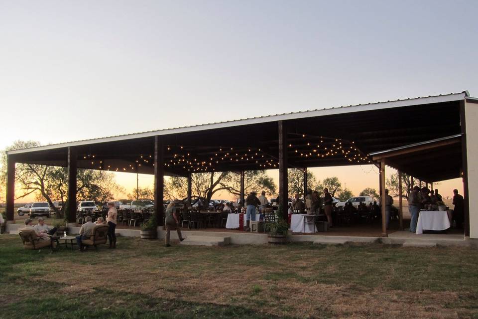 Paloma Pachanga at Weaver Farms