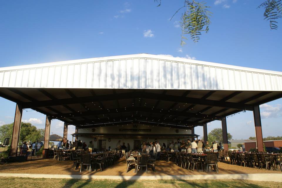 Paloma Pachanga at Weaver Farms