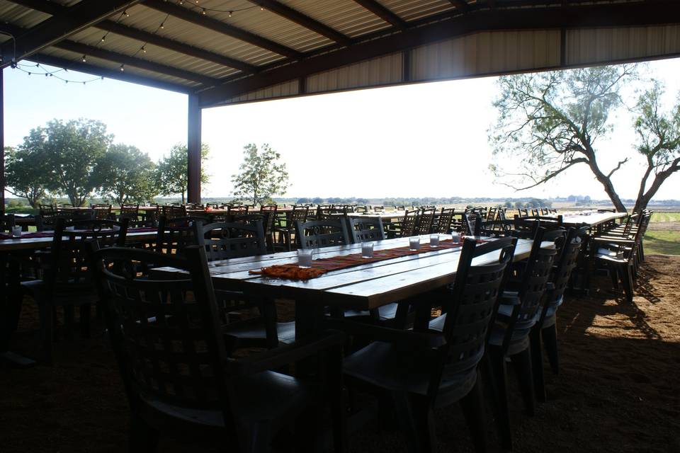 Paloma Pachanga at Weaver Farms