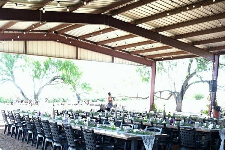 Paloma Pachanga at Weaver Farms