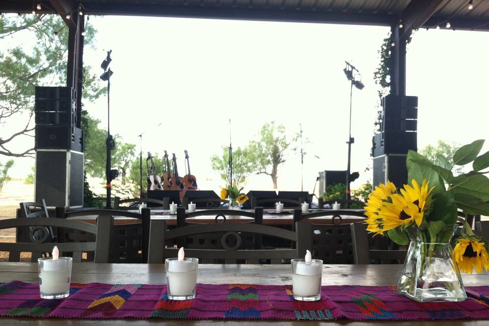 Paloma Pachanga at Weaver Farms