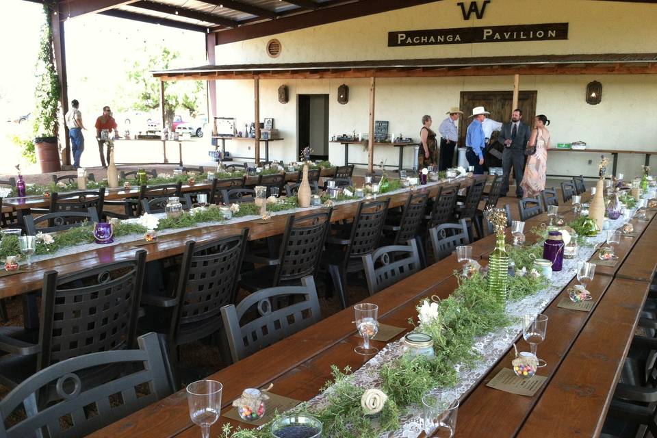 Paloma Pachanga at Weaver Farms