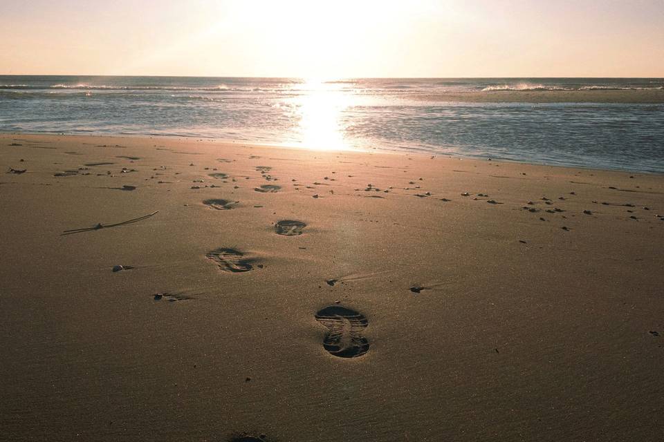 Ocean