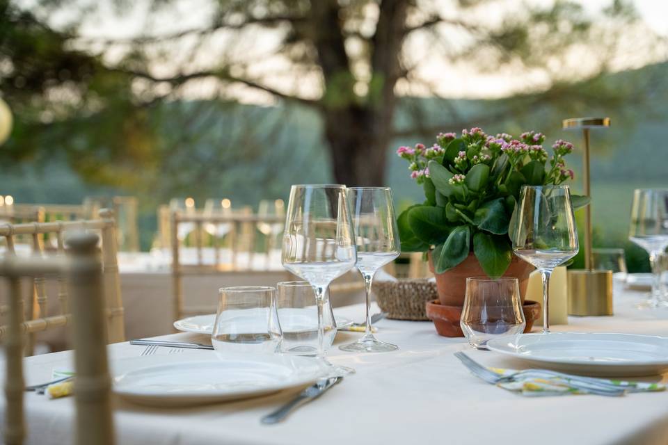Table setting
