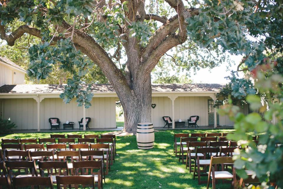 The Ceremony took place in the front yard of the Ranch House with an ancient oak as the Central Backdrop. — at Chateau Margene Winery.