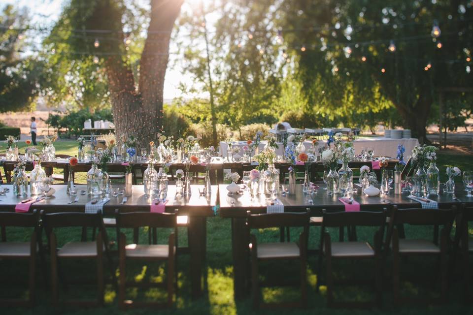 The lush lawn in the back yard of the Ranch House makes a intimate and very special setting. Napkins were in alternate patterns and handmade by the Mother of the Bride.