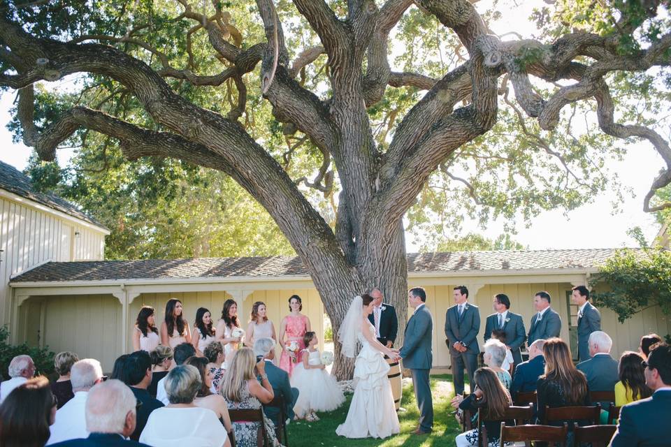 View of how the tree encircles the Ceremony area - so lovely! — at Chateau Margene Winery.