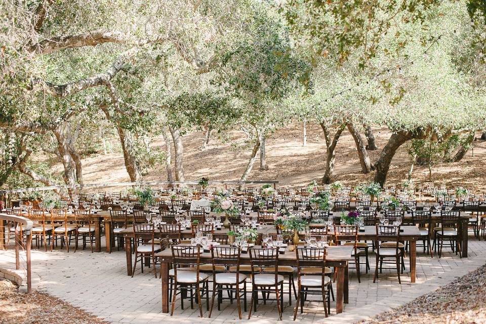 Long dark farmhouse tables and dark wood chivari chairs were placed on a beautiful stone patio under the oaks.