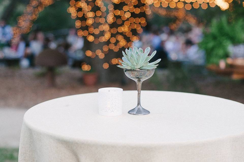 Cocktail tables were on the grassy area near the bar, with sand colored linens, tea lights and succulents in bronze goblets. Photo by Jamie and Chase photography.