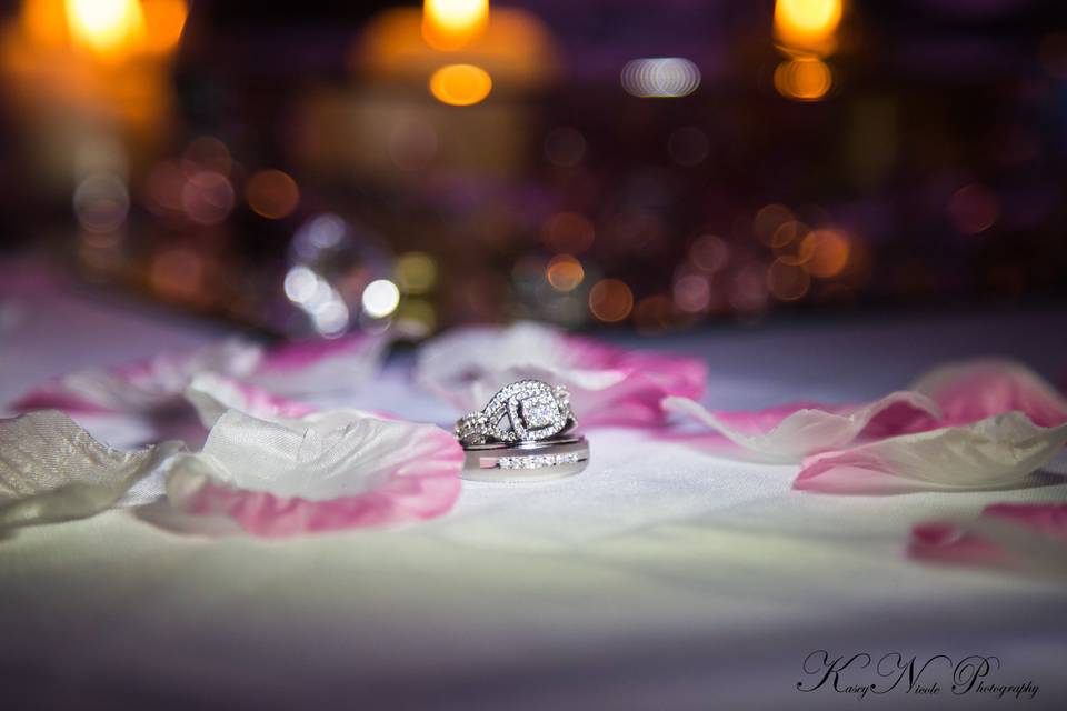 Kasey Nicole Photography