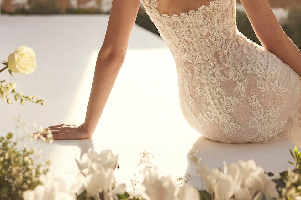 Rosa Clara - Chicago