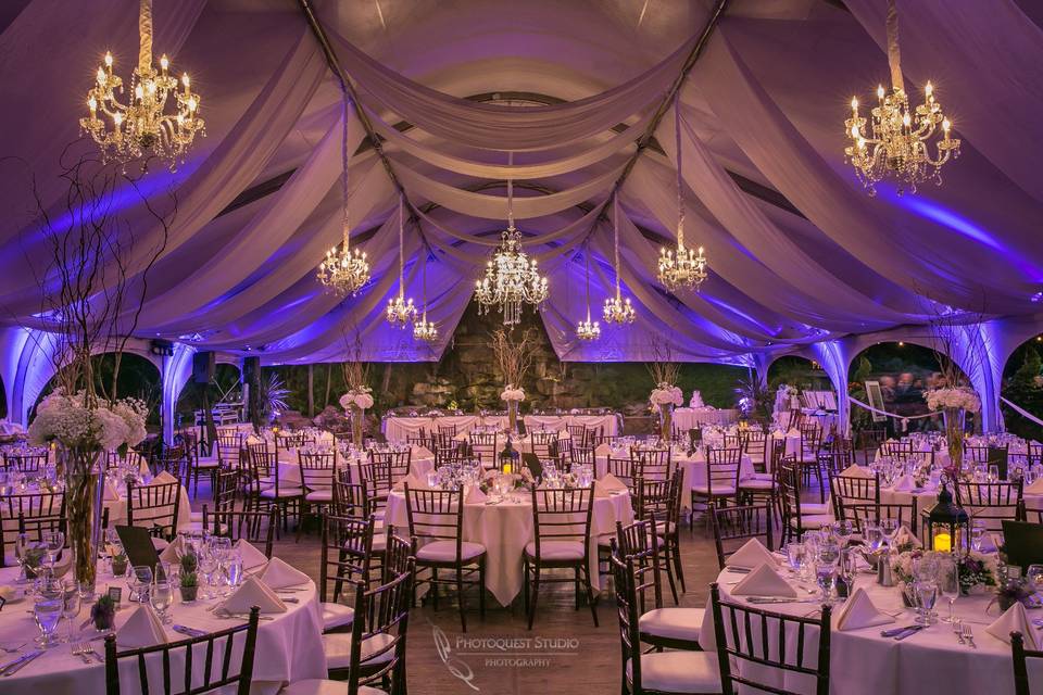 White reception design