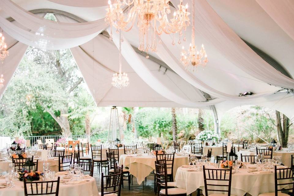 White reception design