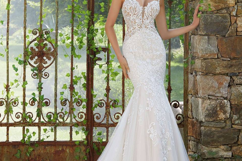 Amazing Brides Couture