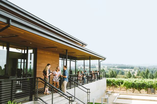 Ponzi Vineyards