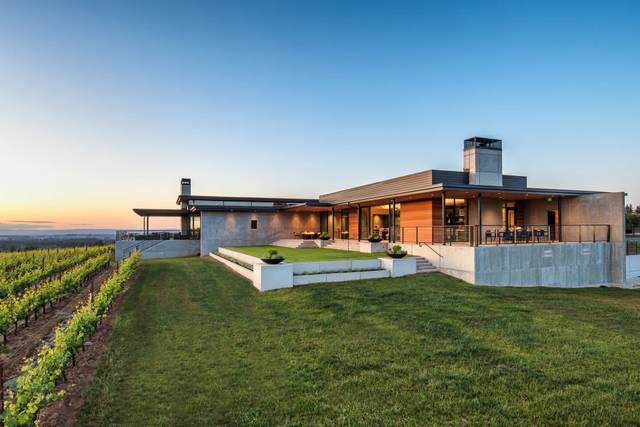 Ponzi Vineyards