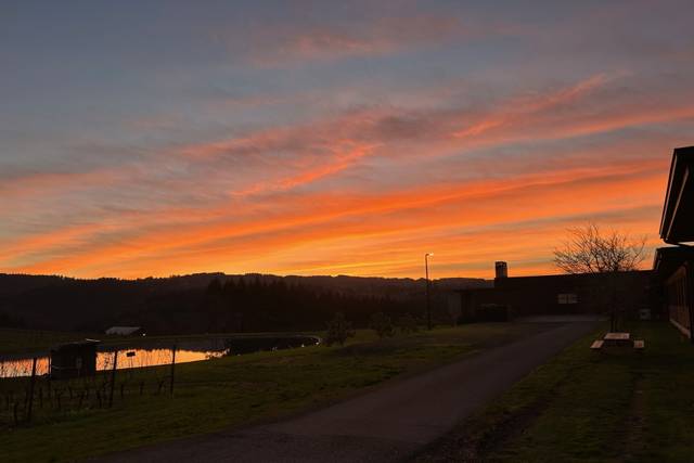 Sunset over the pond