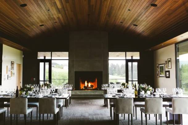 Ponzi Vineyards