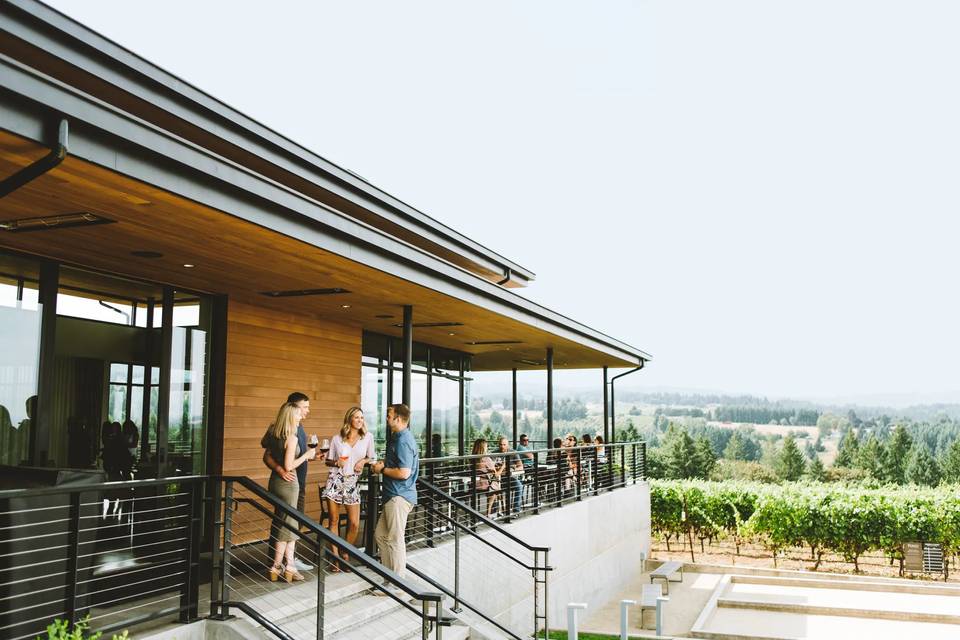 Ponzi Vineyards
