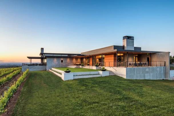 Ponzi Vineyards