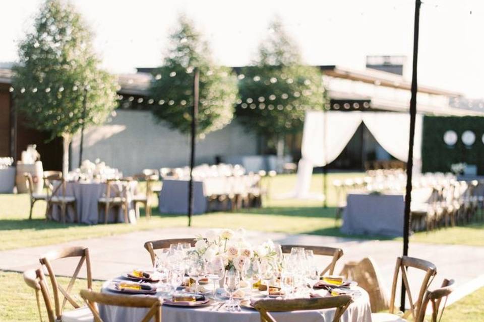 Ponzi Vineyards