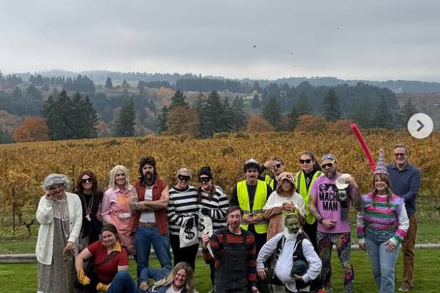 Ponzi Vineyards