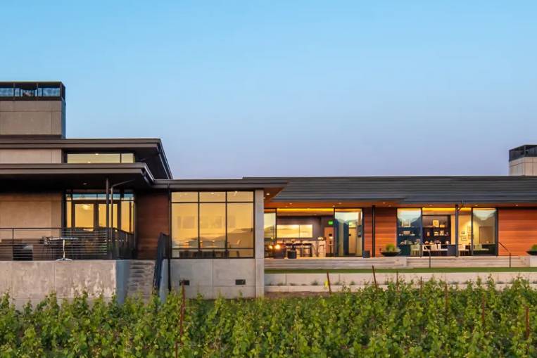 Ponzi Vineyards